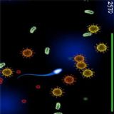 Download StraySperm Cell Phone Game
